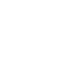 SUZUKI.png
